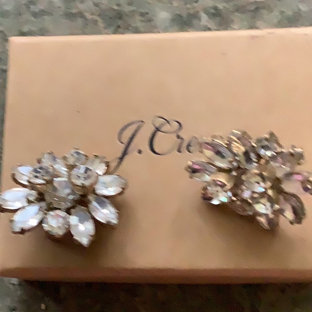 Pierced earrings